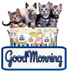 good morning 10.webp