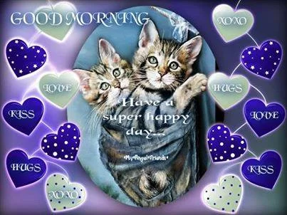 good morning kugs kisses cats.webp