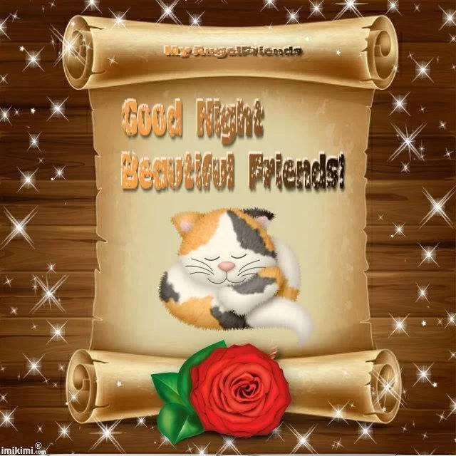 good night 22.webp