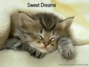 good night 26.webp
