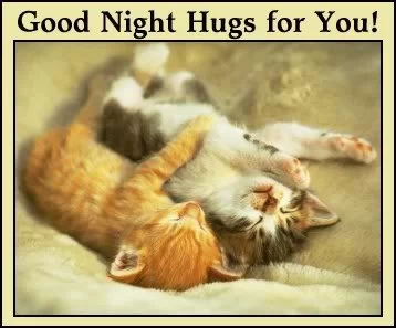 good night 29.webp