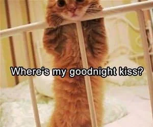 Good_Night_Kiss_Please_s.webp