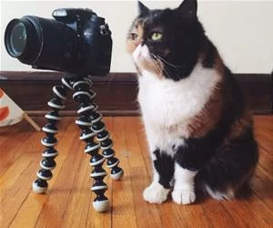 Got_My_Camera_s.webp