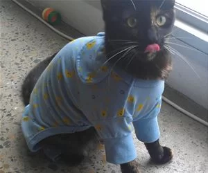 Got_My_Pajamas_On_s.webp