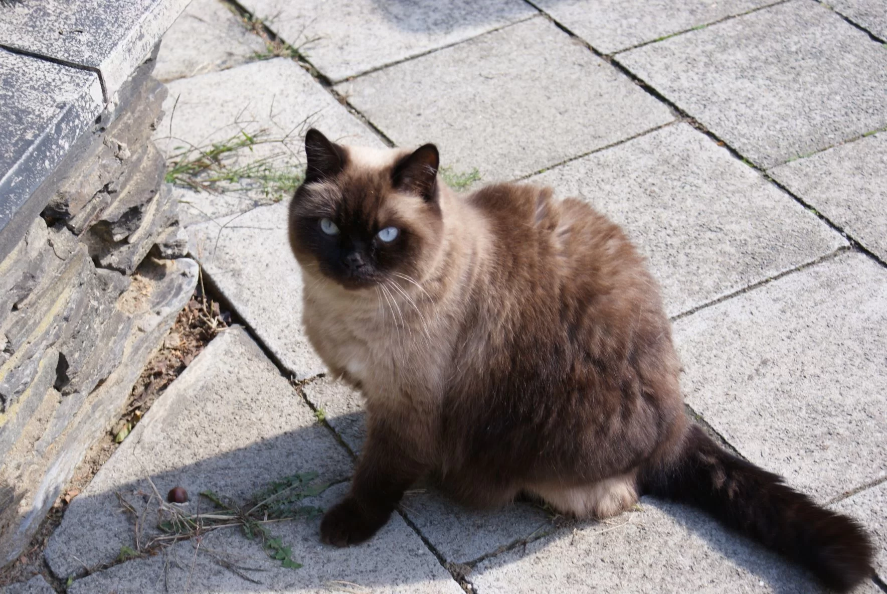 groet1.webp