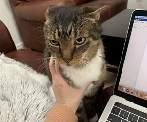 Grrrrr1174_s.webp