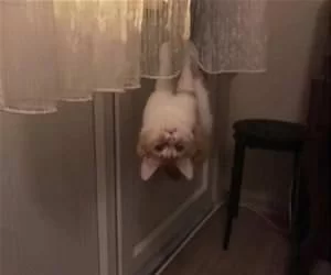 Hanging_Around4444_s.webp