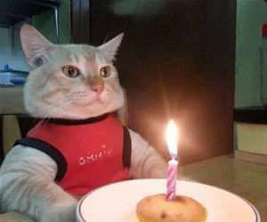 Happy_Birthday_To_Me_s.webp