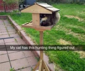Have_This_Thing_Figured_Out_s.webp