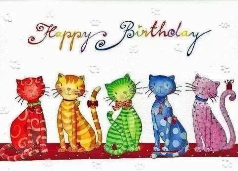 hb cats.webp