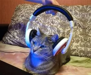 Headphones_On_s.webp