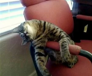 Hey_There_Just_Relaxing_s.webp