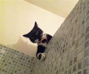 Hey_What_You_Doing_There_s.webp
