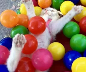 Heyyyy_There_s.webp