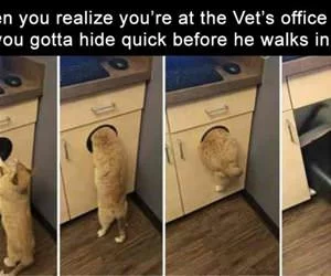 Hide_Quick_s.webp