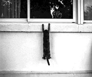 Hiding_From_My_Buddy_s.webp