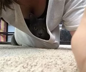 Hiding_In_Here6714_s.webp
