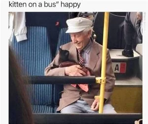 How_Happy_Are_You_s.webp