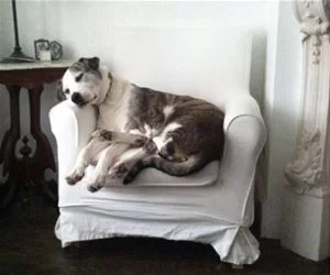 How_I_Stay_Warm_s.webp