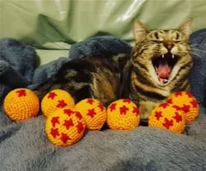 Huge_Yawnnnnnn_s.webp