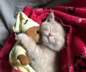 Hugging_It_Out1935_s.webp