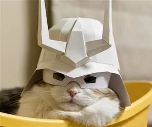 I_Am_A_King_s.webp