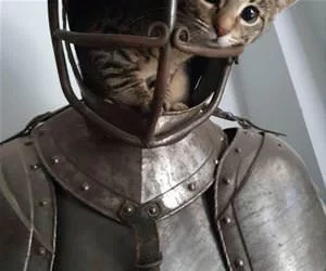 I_Am_A_Knight_s.webp