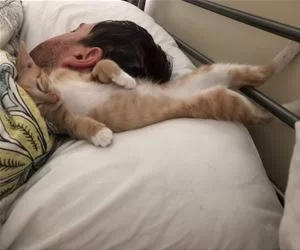 I_Am_A_Pillow_Now_s.webp
