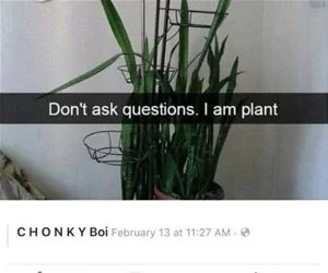 I_Am_A_Plant_s.webp