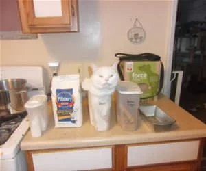 I_Am_Flour_Now_s.webp
