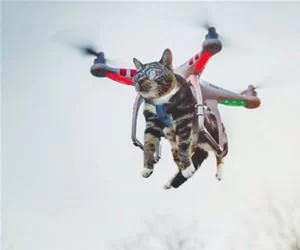 I_Am_Flying_Cat_s.webp