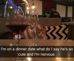 I_Am_On_A_Dinner_Date_s.webp