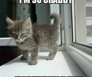 I_Am_So_Crabby_s.webp