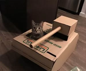I_Am_Tank_Kitty_s.webp