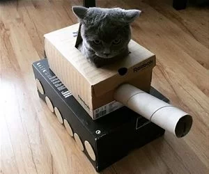 I_Am_The_Tank_Cat2737_s.webp