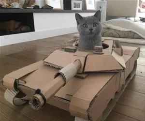 I_Am_The_Tank_Cat9855_s.webp