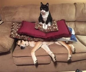 I_Got_My_Seat_s.webp
