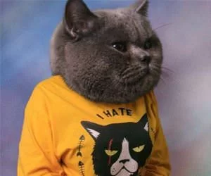 I_Hate_Everyone_s.webp