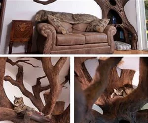I_Have_A_Cat_Tree_s.webp