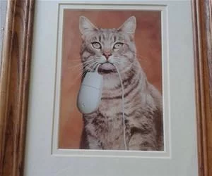 I_Have_A_Mouse_s.webp