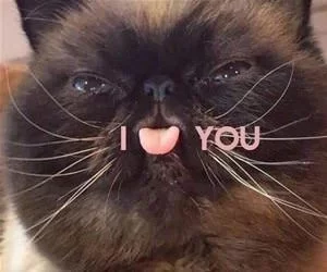 I_Love_You_s.webp