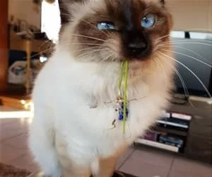 I_Need_Some_Floss_s.webp