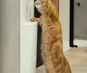 I_Need_Water_s.webp