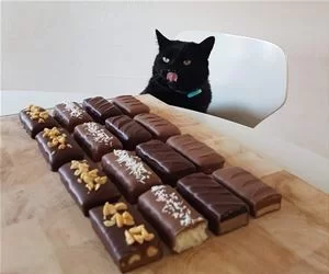 I_Will_Take_Them_All_s.webp