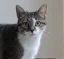 ikoon_Katrien.webp