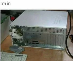 Im_In_s.webp