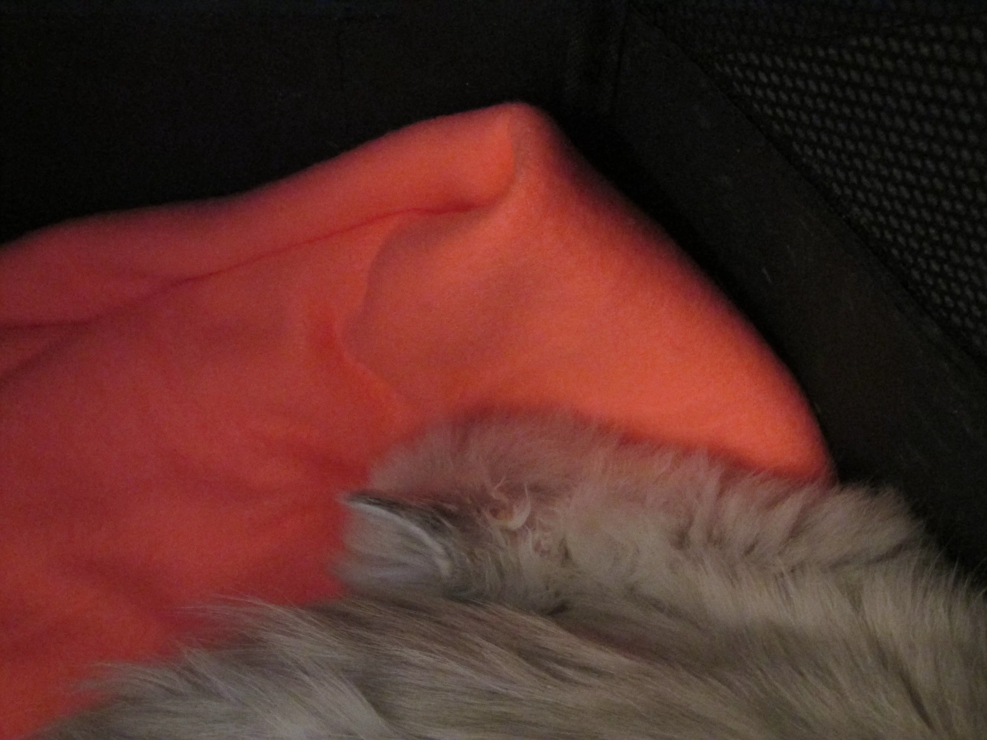 IMG_0145.webp
