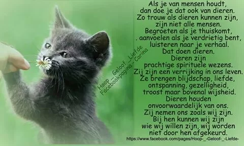 IMG_542835638753767.webp