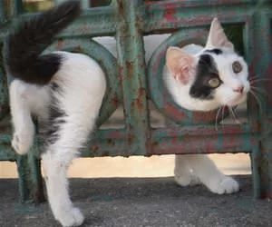 In_And_Out_s.webp