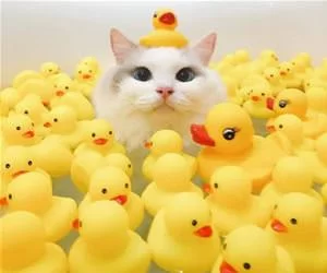 In_The_Bath_s.webp